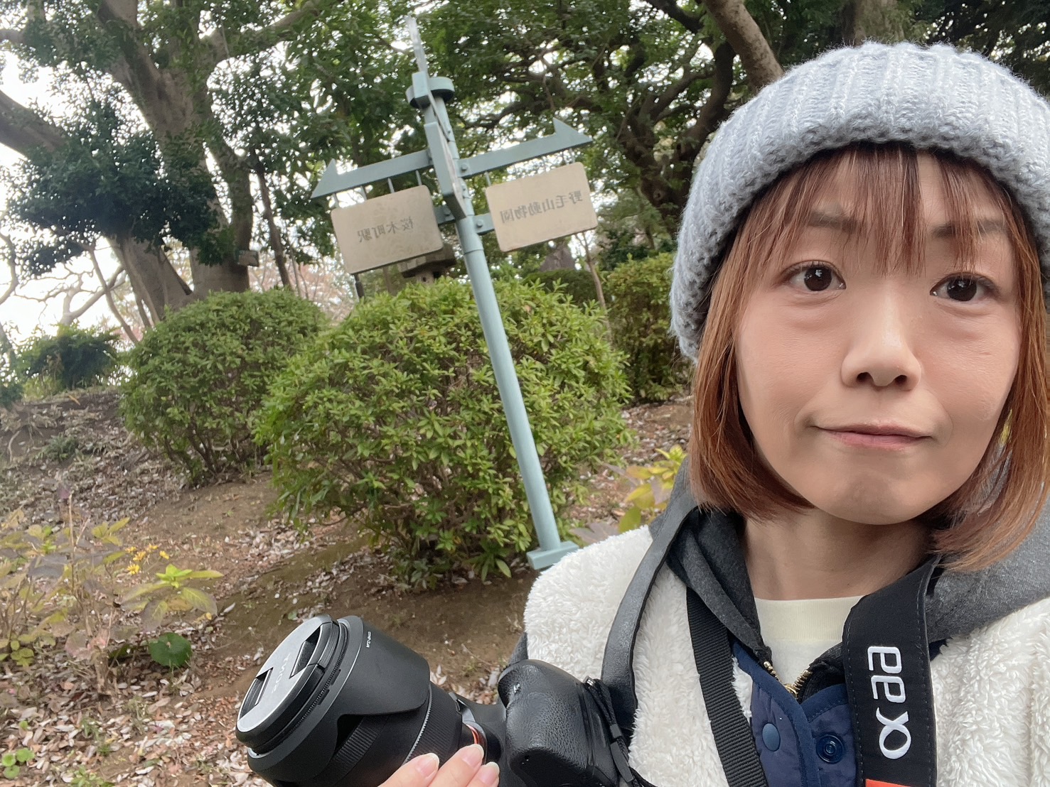ビフォー写真